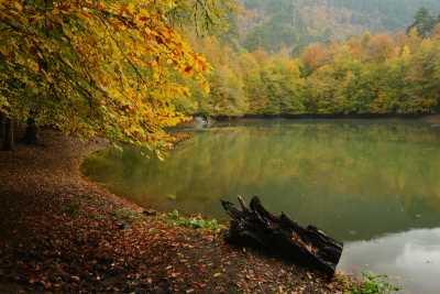 Yedigöller Milli Parkı